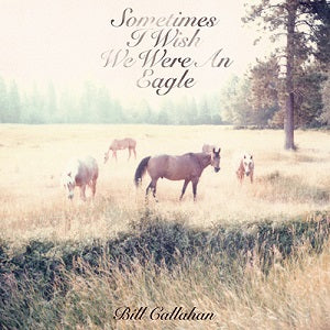 Bill Callahan Sometimes I Wish We Were an Eagle