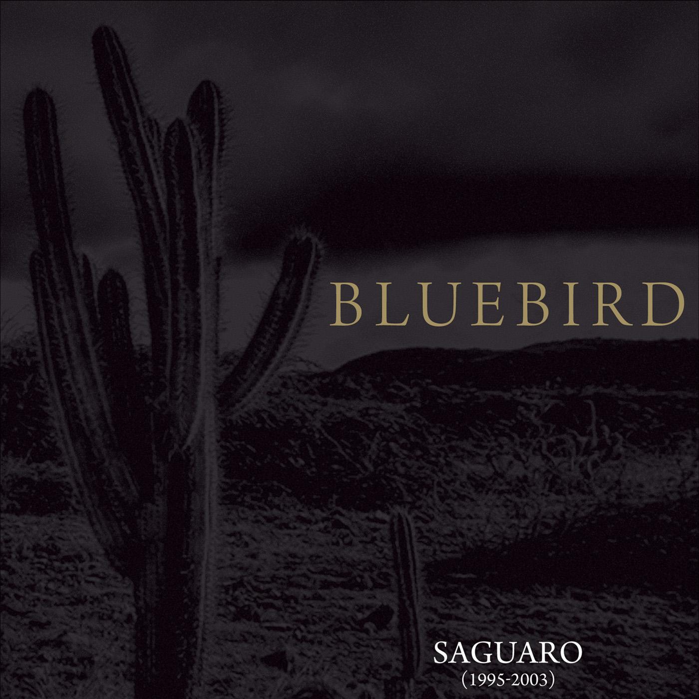 Bluebird Saguaro (1995-2003)
