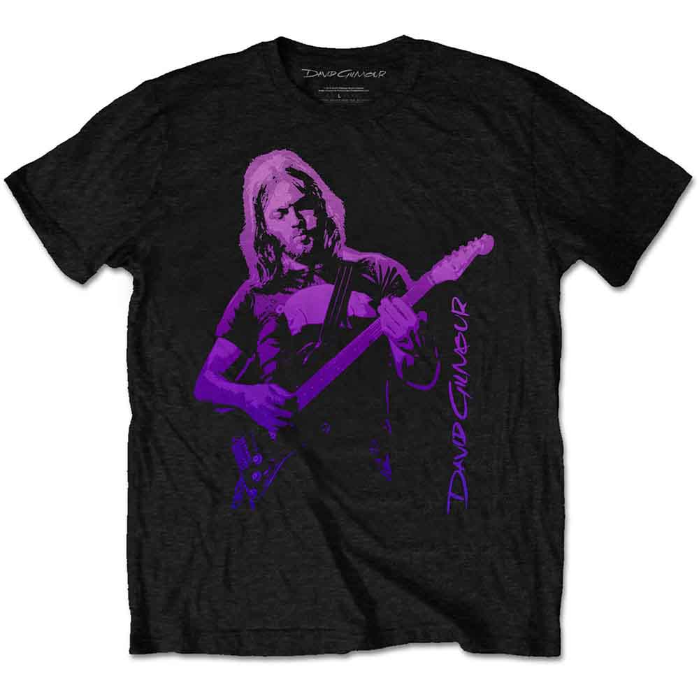 David Gilmour Pig Gradient Black