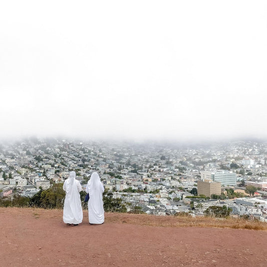 Death Cab For Cutie Asphalt Meadows (180 Gram Vinyl, Digital Download Card)