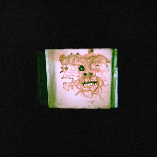 Orrick, Chris & The Lasso I Read That I Was Dead