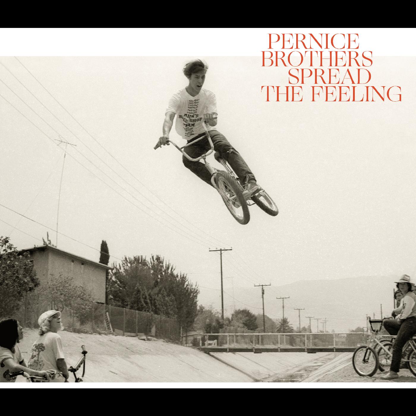 Pernice Brothers Spread The Feeling
