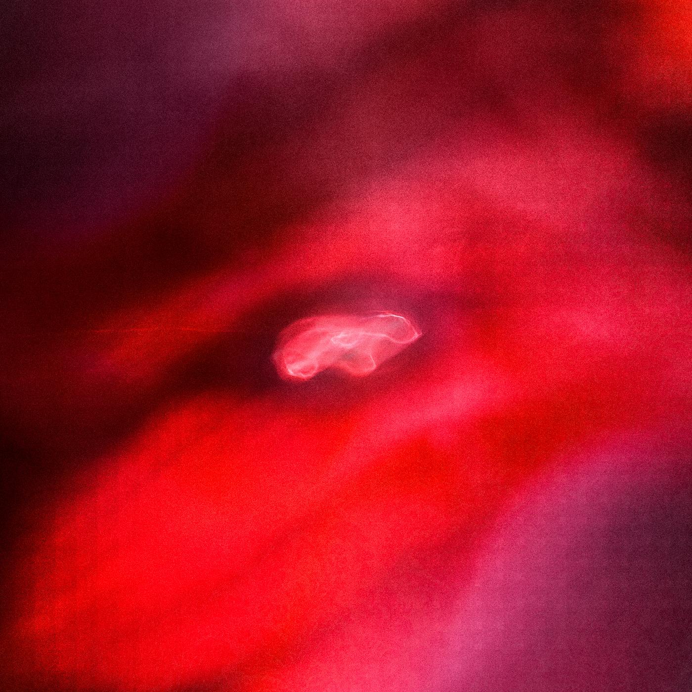 Saffronkeira and Siavash Amini The Faded Orbit