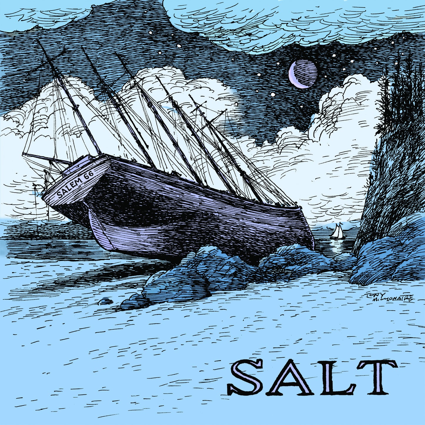 Salem 66 Salt