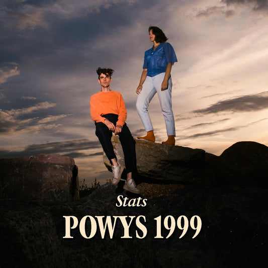 Stats Powys 1999 (CRYSTAL VINYL)