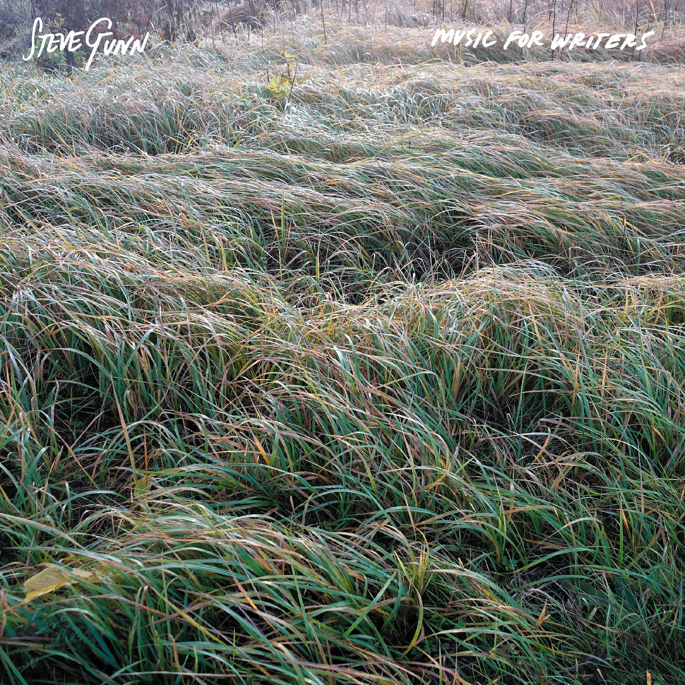 Steve Gunn Music For Writers