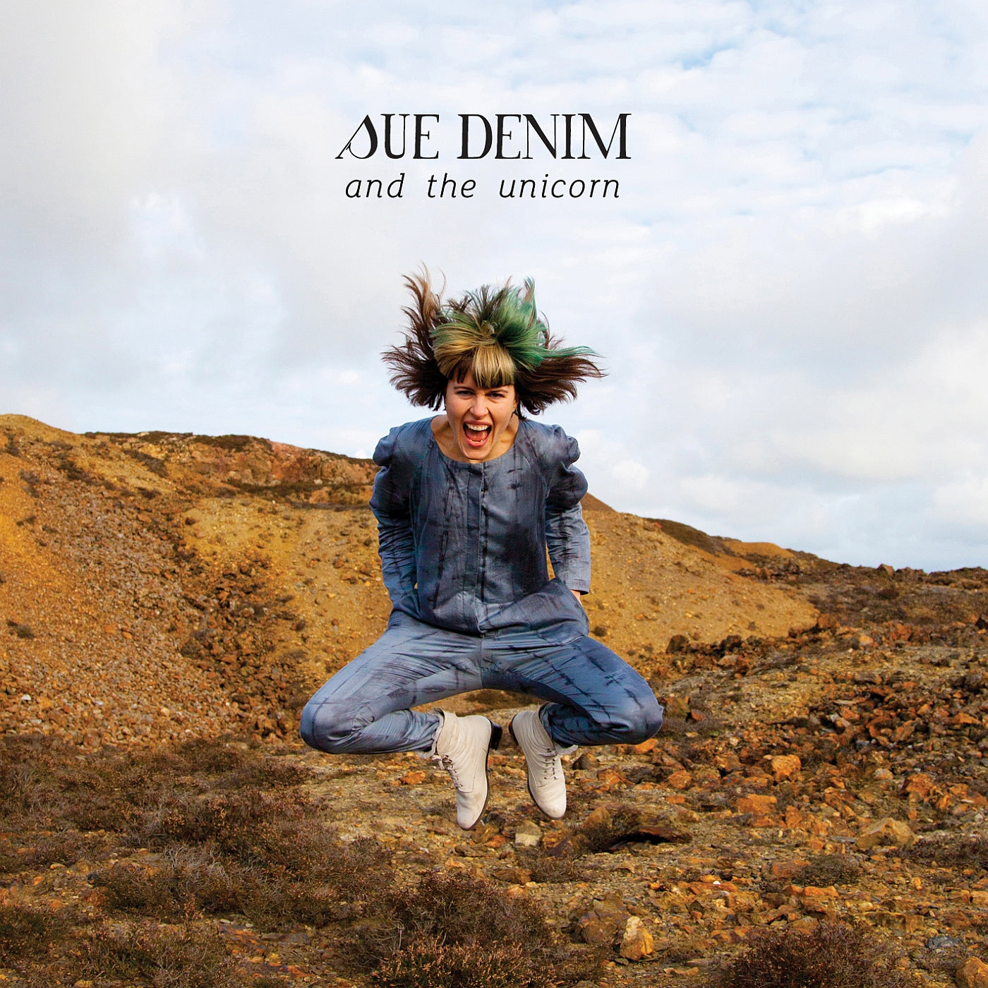 Sue Denim And The Unicorn