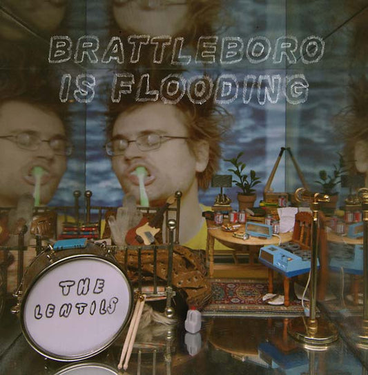 THE LENTILS Brattleboro Is Flooding