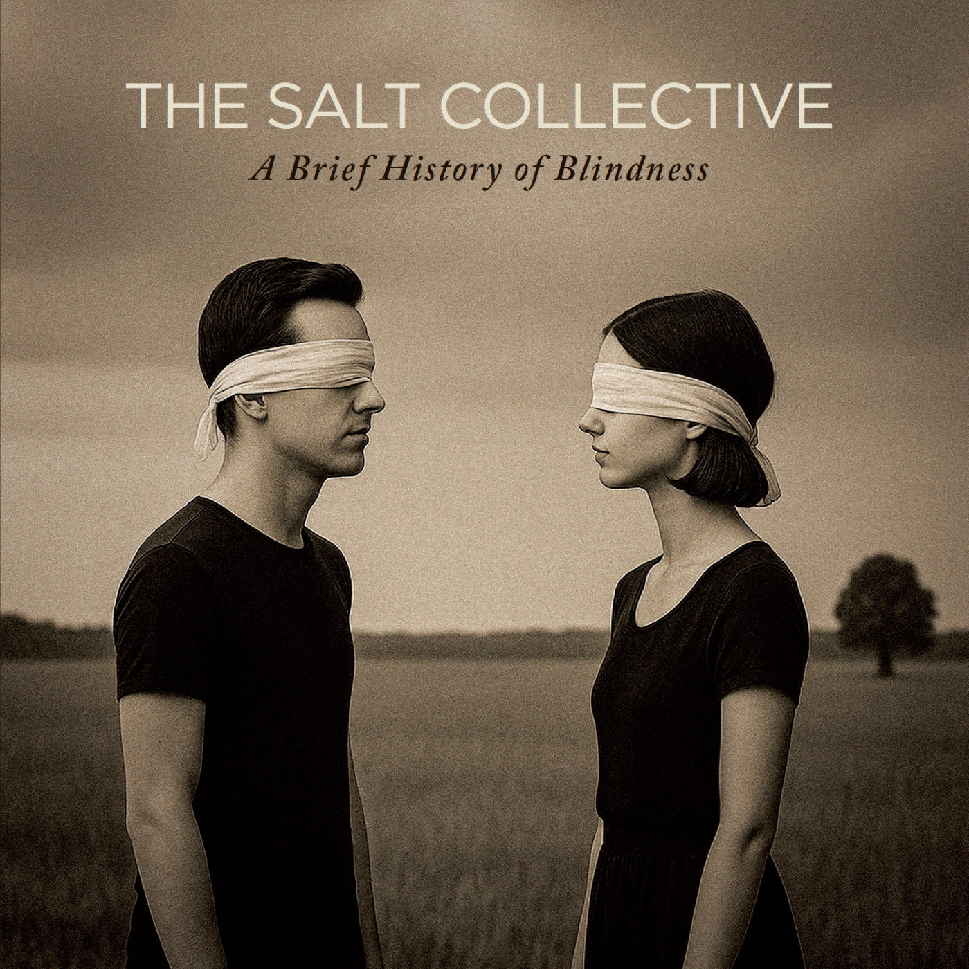 The Salt Collective A Brief History Of Blindness
