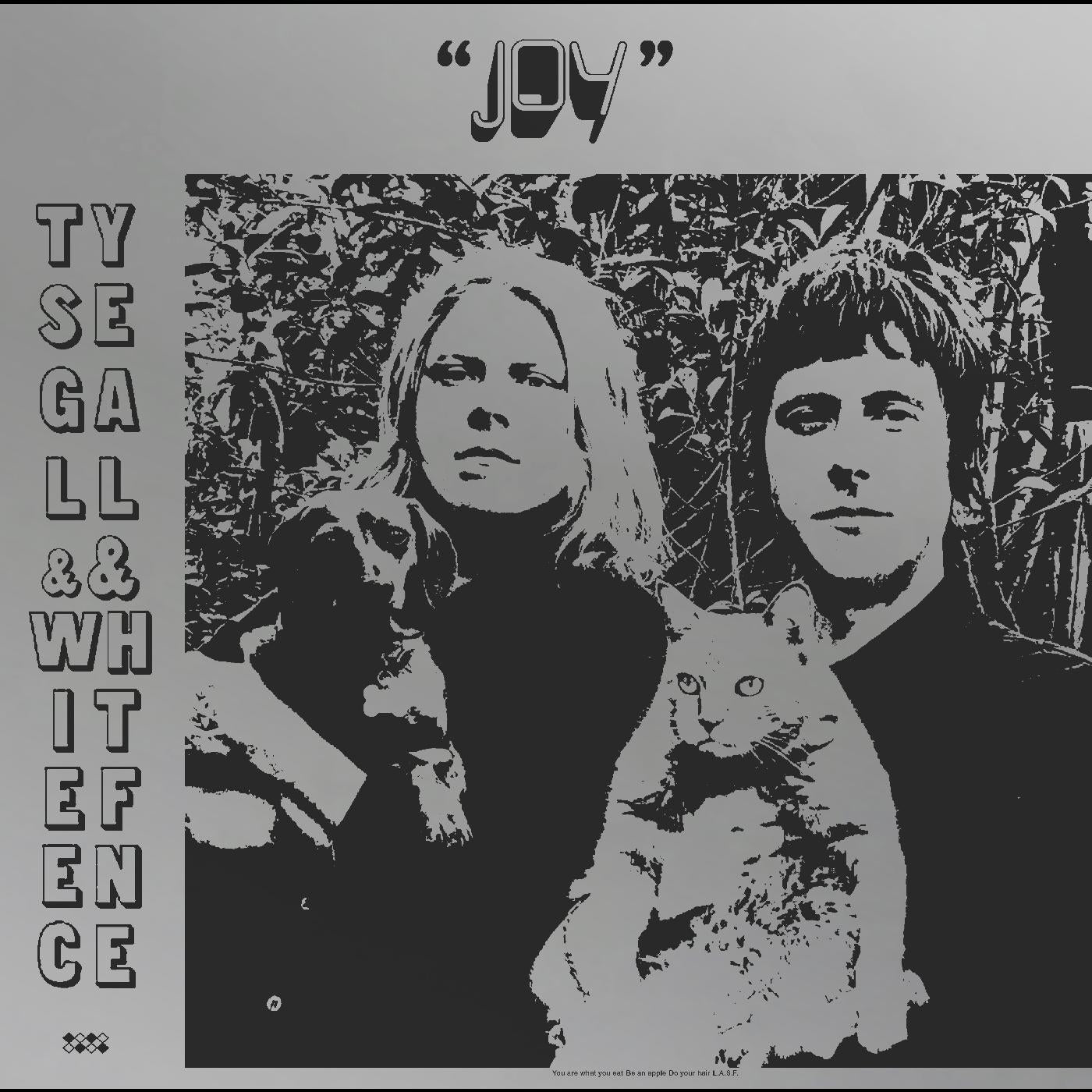 Ty Segall & White Fence Joy