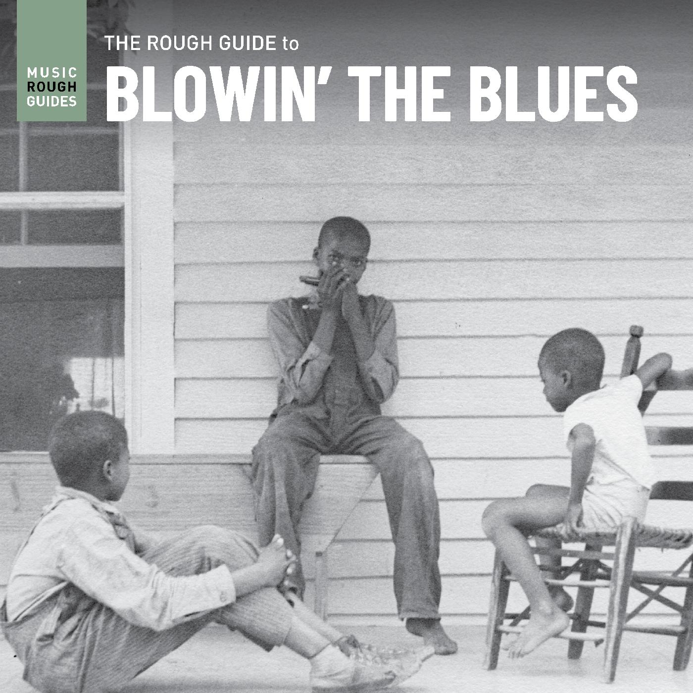 Various Artists Rough Guide To Blowin’ The Blues