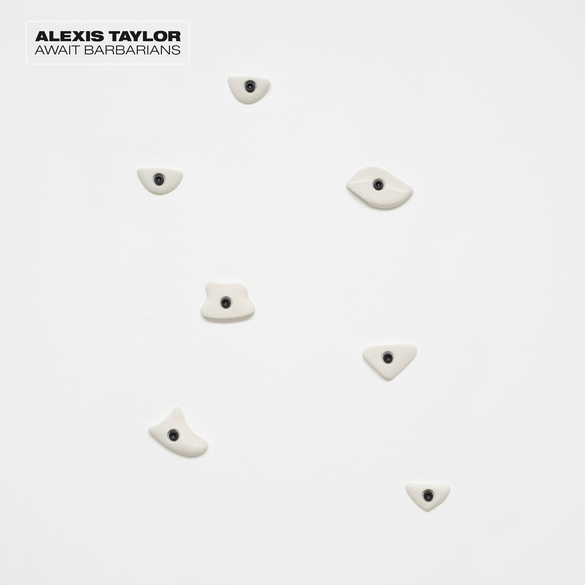 Alexis Taylor Await Barbarians