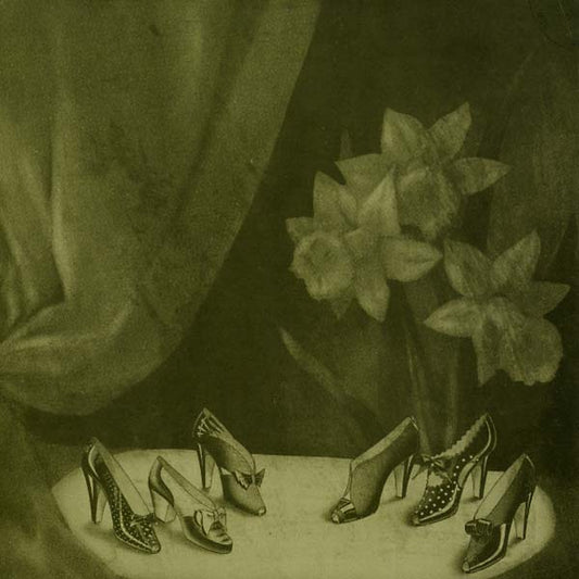 Alice Cohen Into the Grey Salons