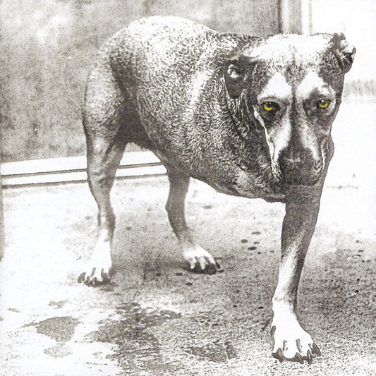 Alice In Chains Alice In Chains (30th Anniversary Reissue) [Color Vinyl] [2LP]
