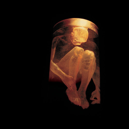 Alice In Chains Nothing Safe: The Best of the Box