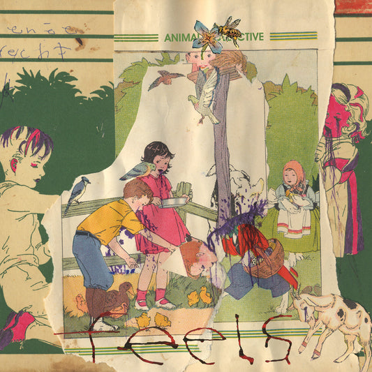 Animal Collective Feels 20Th Anniversary (Deluxe Edition)