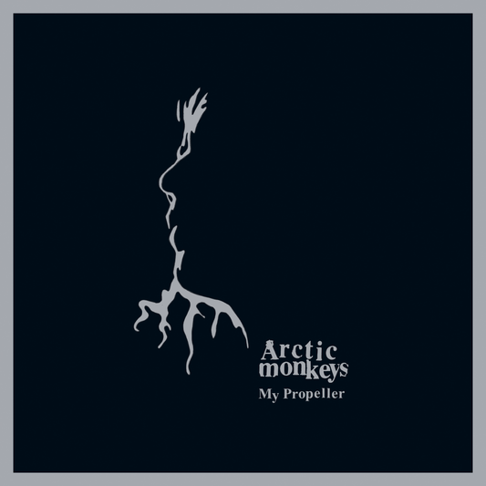 Arctic Monkeys My Propeller