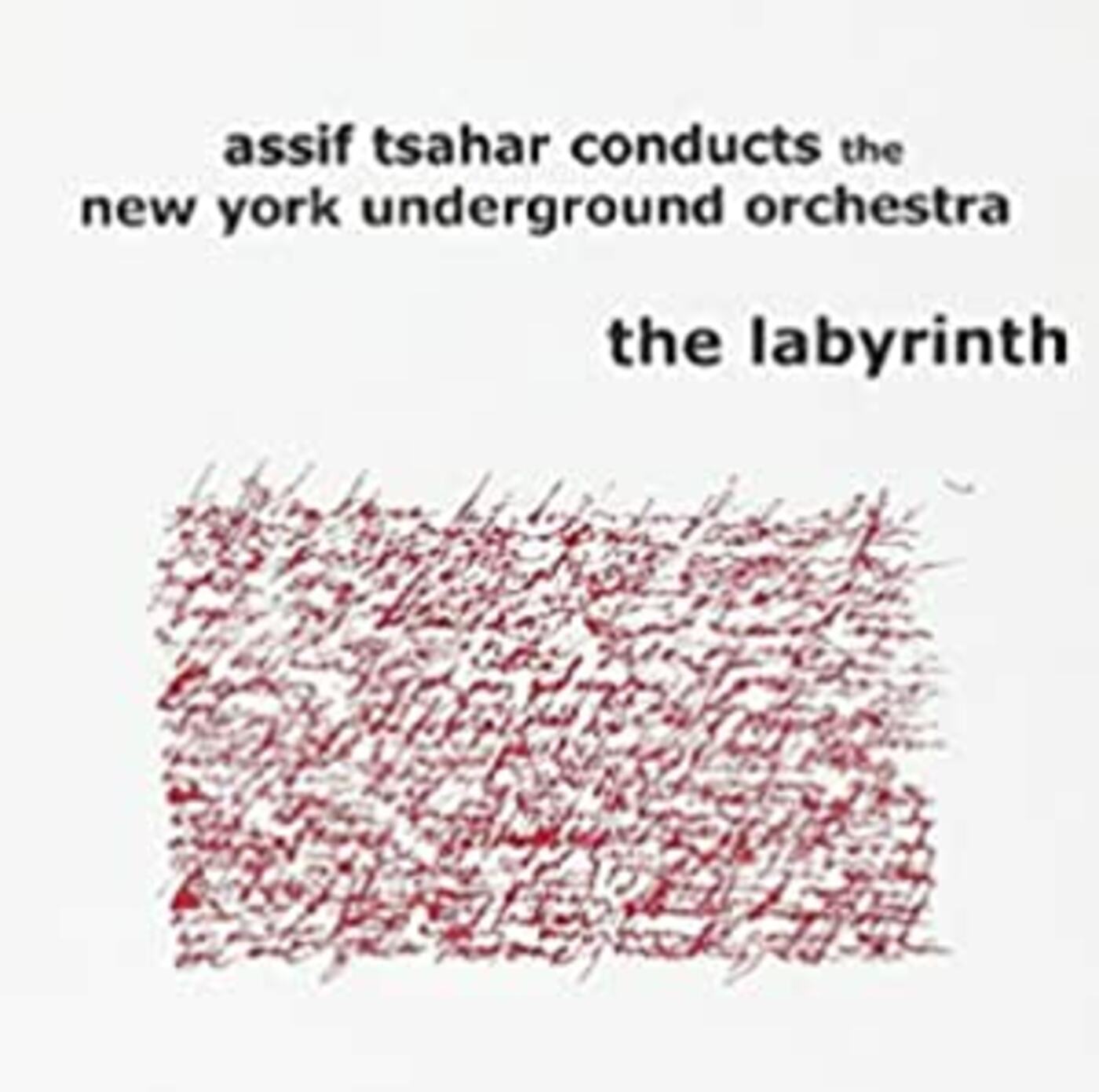 Assif conducts the NY Underground Orchestr Tsahar The Labyrinth