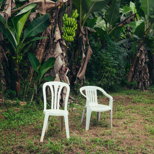Bad Bunny Debi Tirar Mas Fotos [Opaque White Vinyl] [2LP]