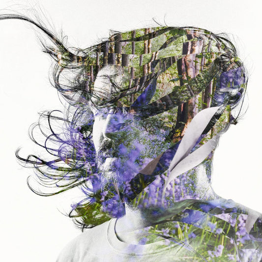 Bibio Ribbons