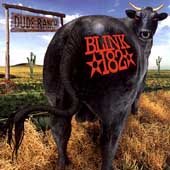 Blink 182 DUDE RANCH