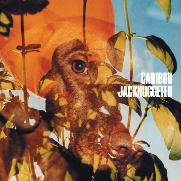 Caribou Jacknuggeted