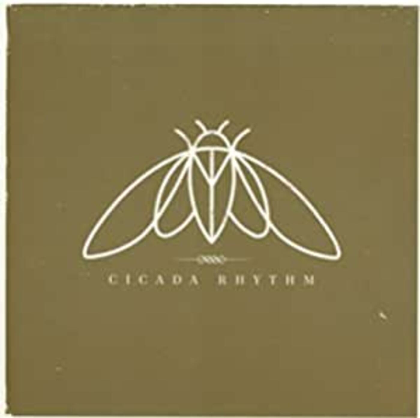 Cicada Rhythm Cicada Rhythm