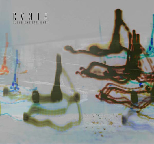 CV313 Live Excursions