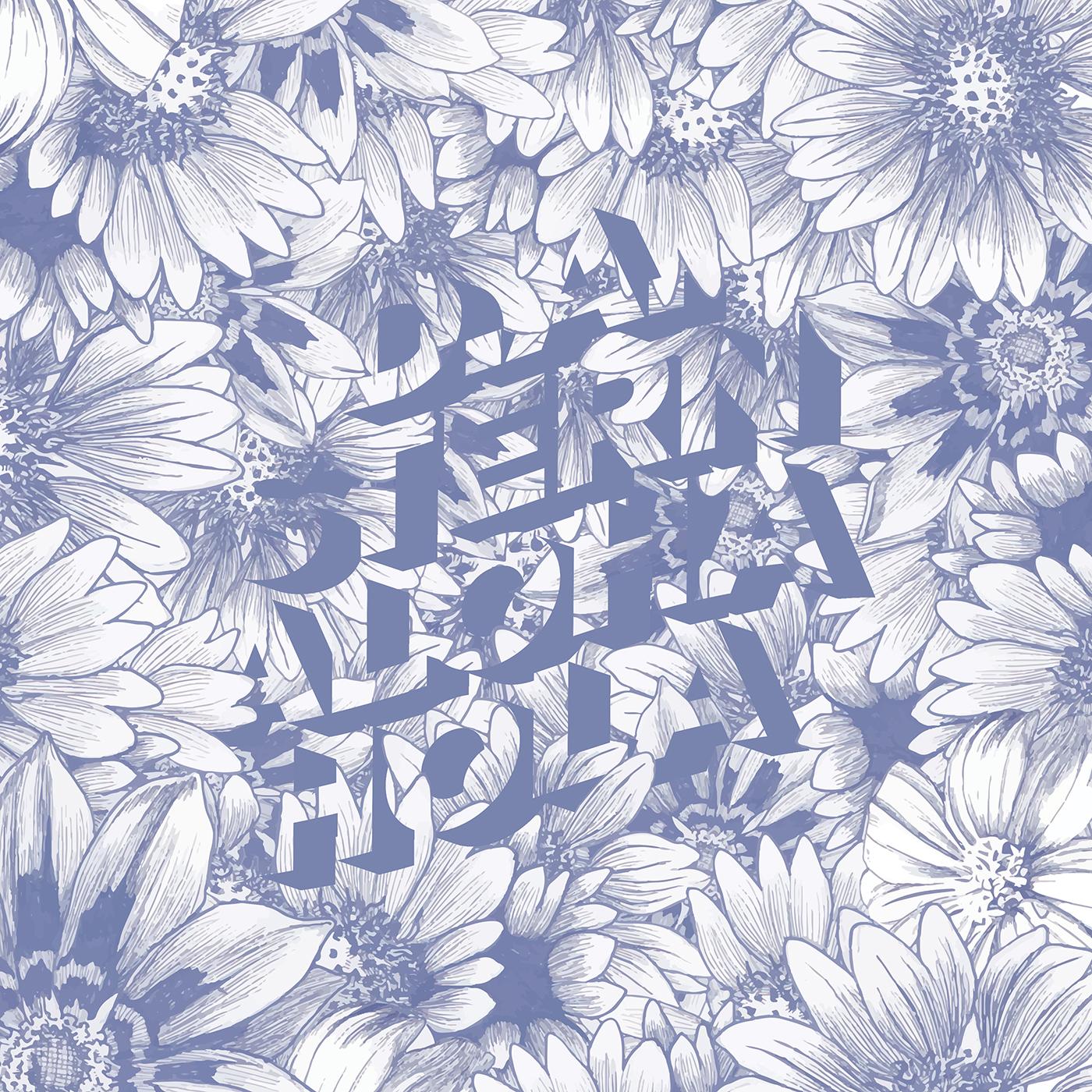 D.A. Stern Aloha Hola