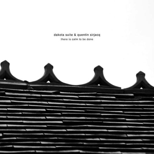 DAKOTA SUITE & QUENTIN SIRJACQ There Is Calm to Be Done