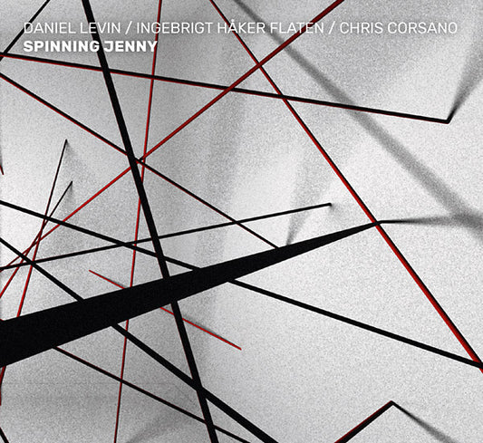 DANIEL LEVIN/INGEBRIGT HAKER FLATEN/CHRIS CORSANO Spinning Jenny