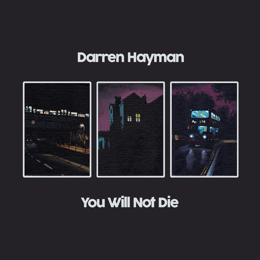 Darren Hayman You Will Not Die