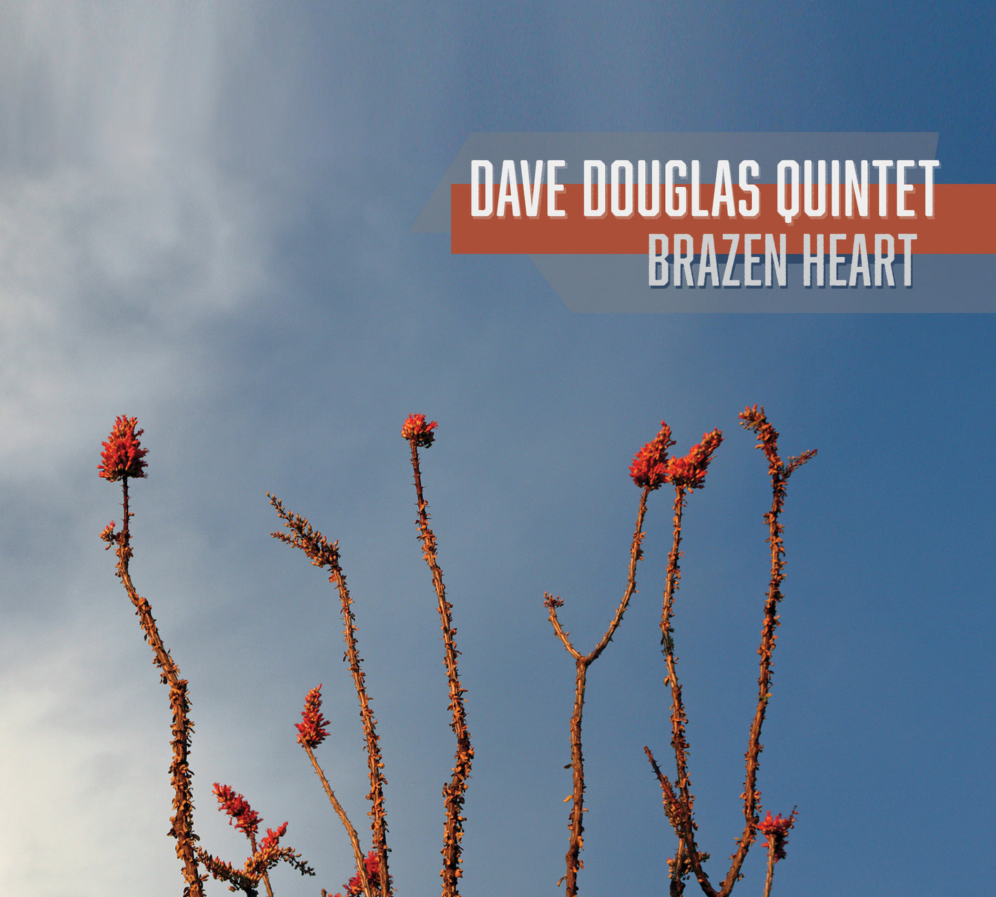Dave Quintet Douglas Brazen Heart