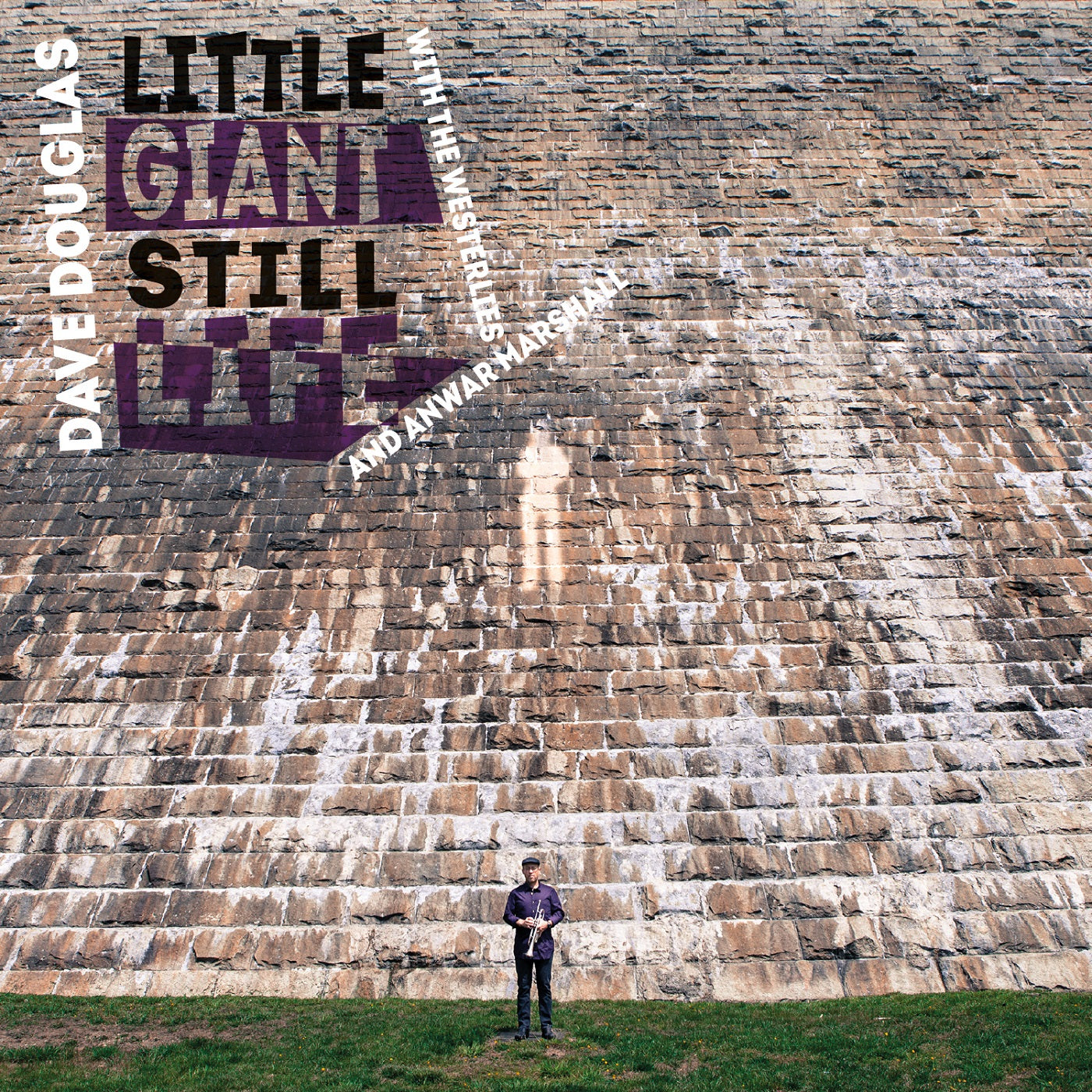 Dave & The Westerlies Douglas Little Giant Still Life