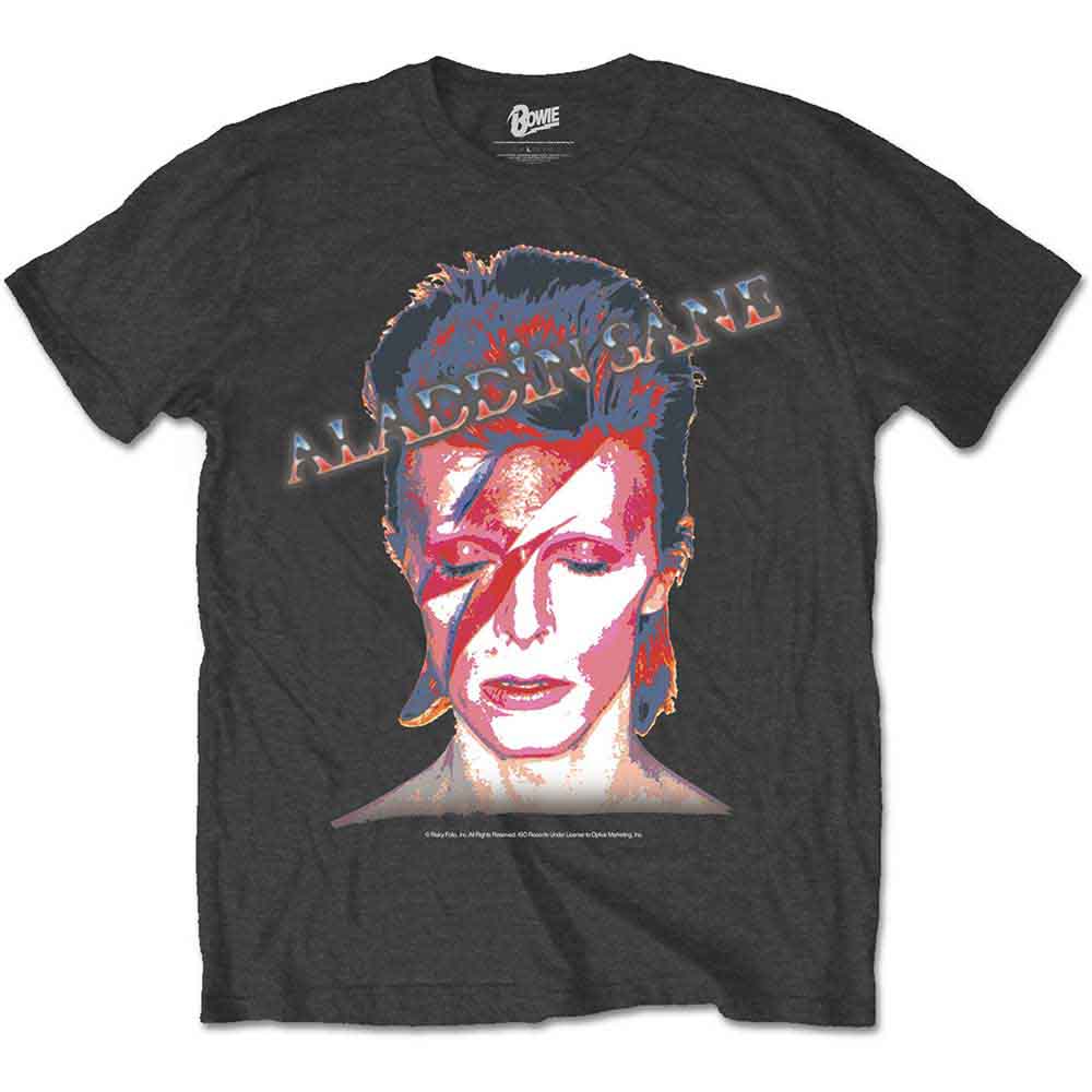 David Bowie Aladdin Sane Grey