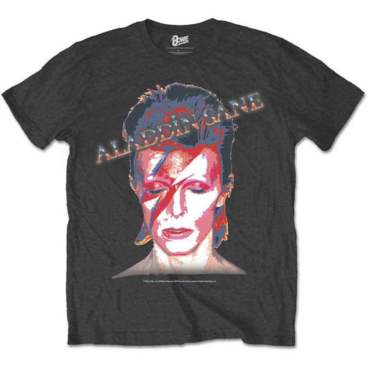 David Bowie Aladdin Sane Grey