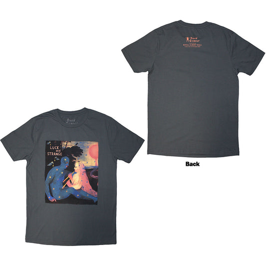 David Gilmour Luck & Strange London 2 Grey