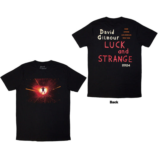 David Gilmour Luck & Strange Stage Shot Black