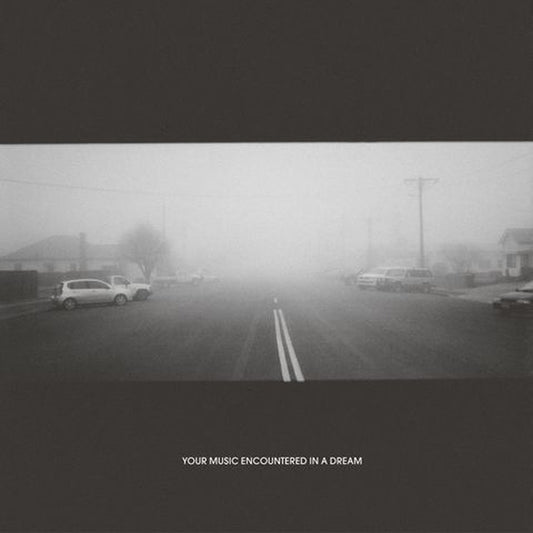 DAVID GRUBBS AND LIAM KEENAN Your Music Encountered In A Dream