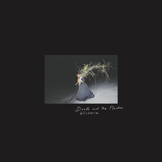 DEATH AND THE MAIDEN Wisteria
