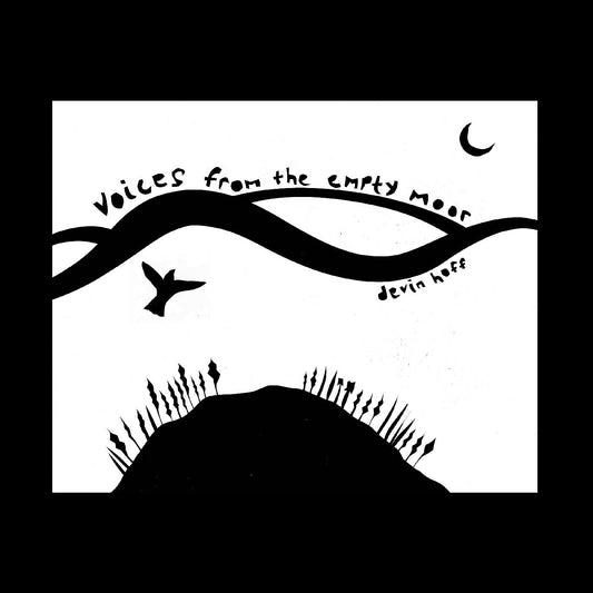 Devin Hoff Voices From the Empty Moor (SEA FOAM COLOR VINYL)