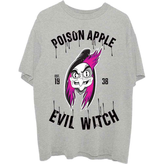 Disney Snow White Evil Witch Poison Apple Grey