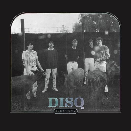 Disq Collector