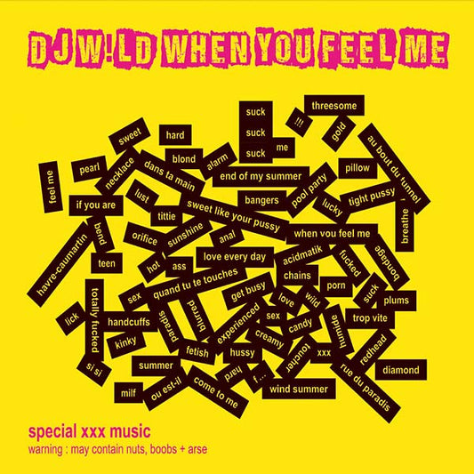 DJ W!LD When You Feel Me