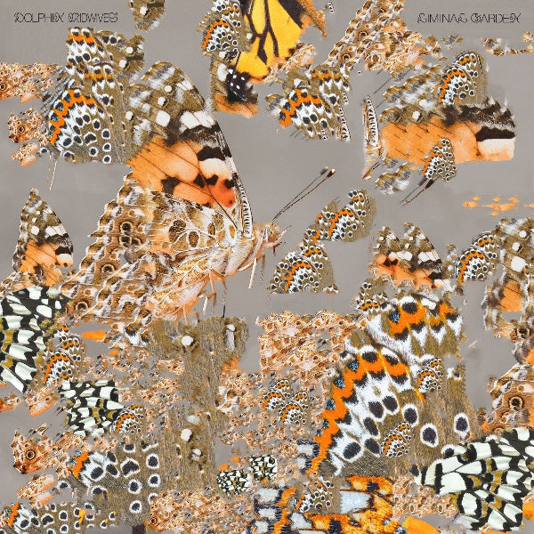 DOLPHIN MIDWIVES Liminal Garden