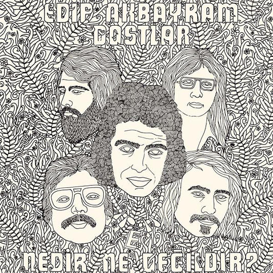 EDIP AKBAYRAM & DOSTLAR Nedir Ne Degildir?