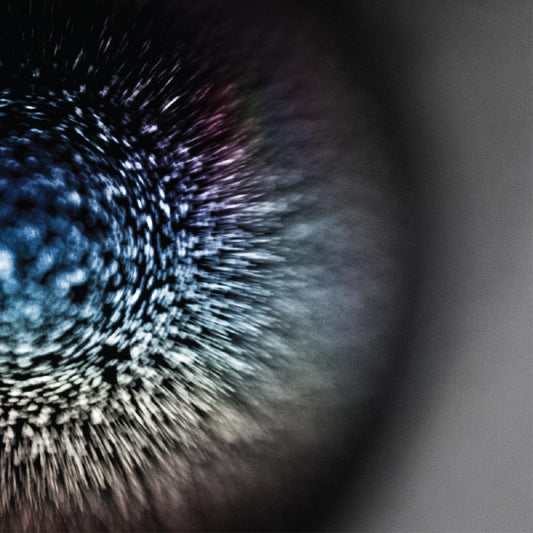Emptyset Blossoms (CLEAR VINYL)
