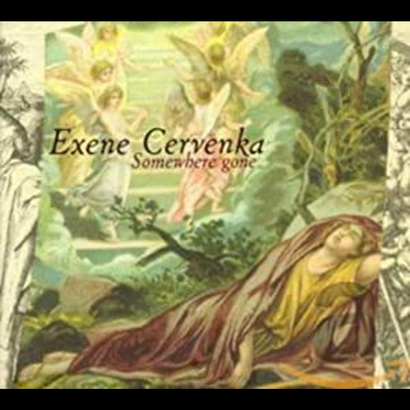 Exene Cervenka Somewhere Gone