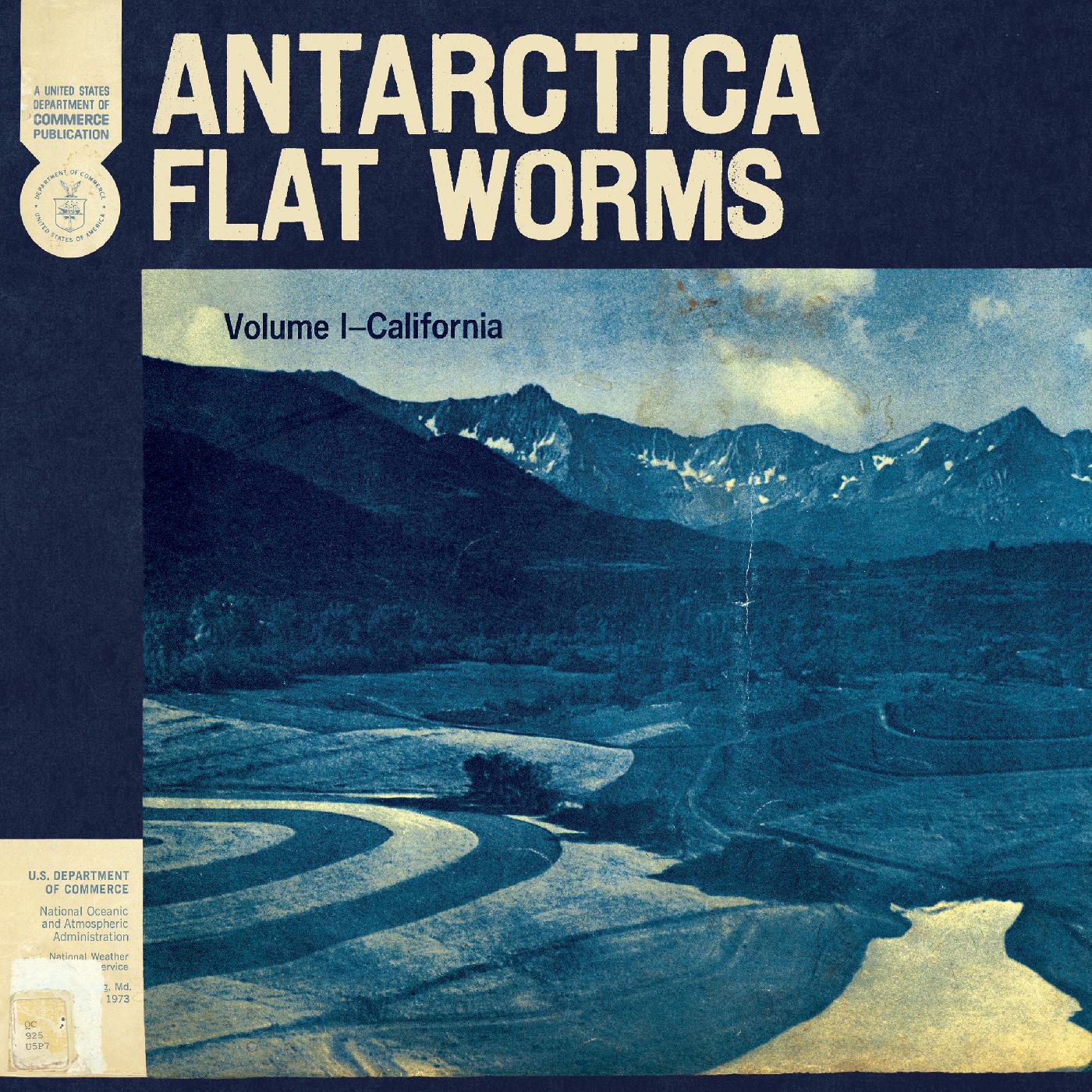 Flat Worms Antarctica