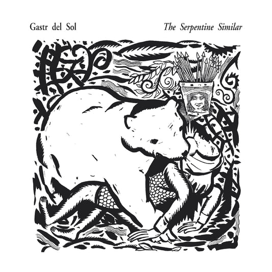 Gastr del Sol The Serpentine Similar